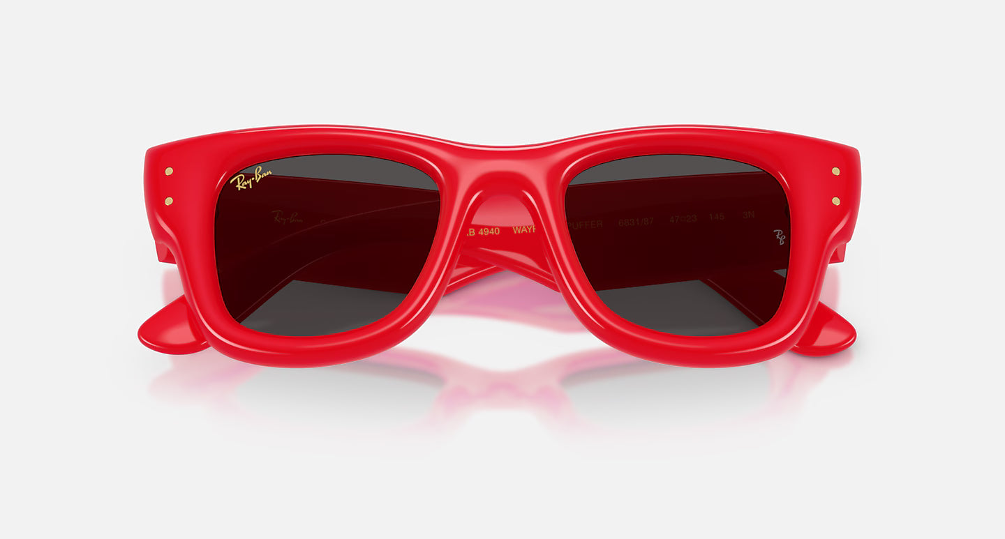 Rayban Wayfarer Puffer Polished Green