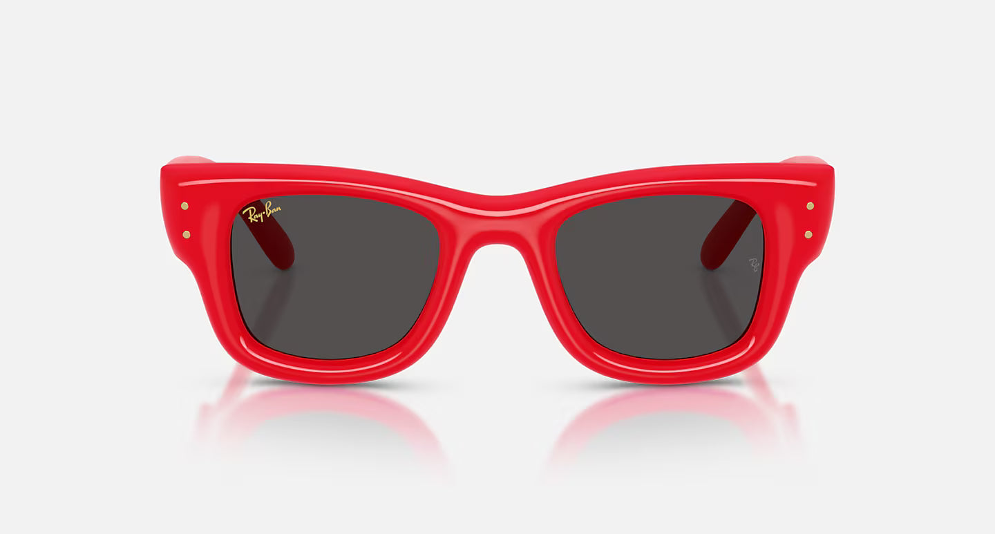 Rayban Wayfarer Puffer Polished Green