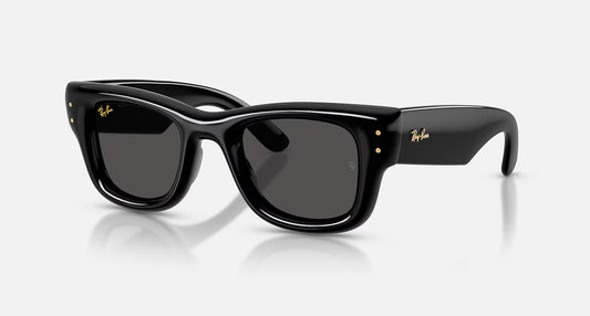 Ray-Ban Wayfarer Puffer Polished Black