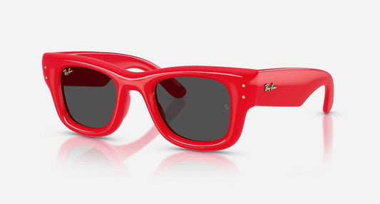 Rayban Wayfarer Puffer Polished Green
