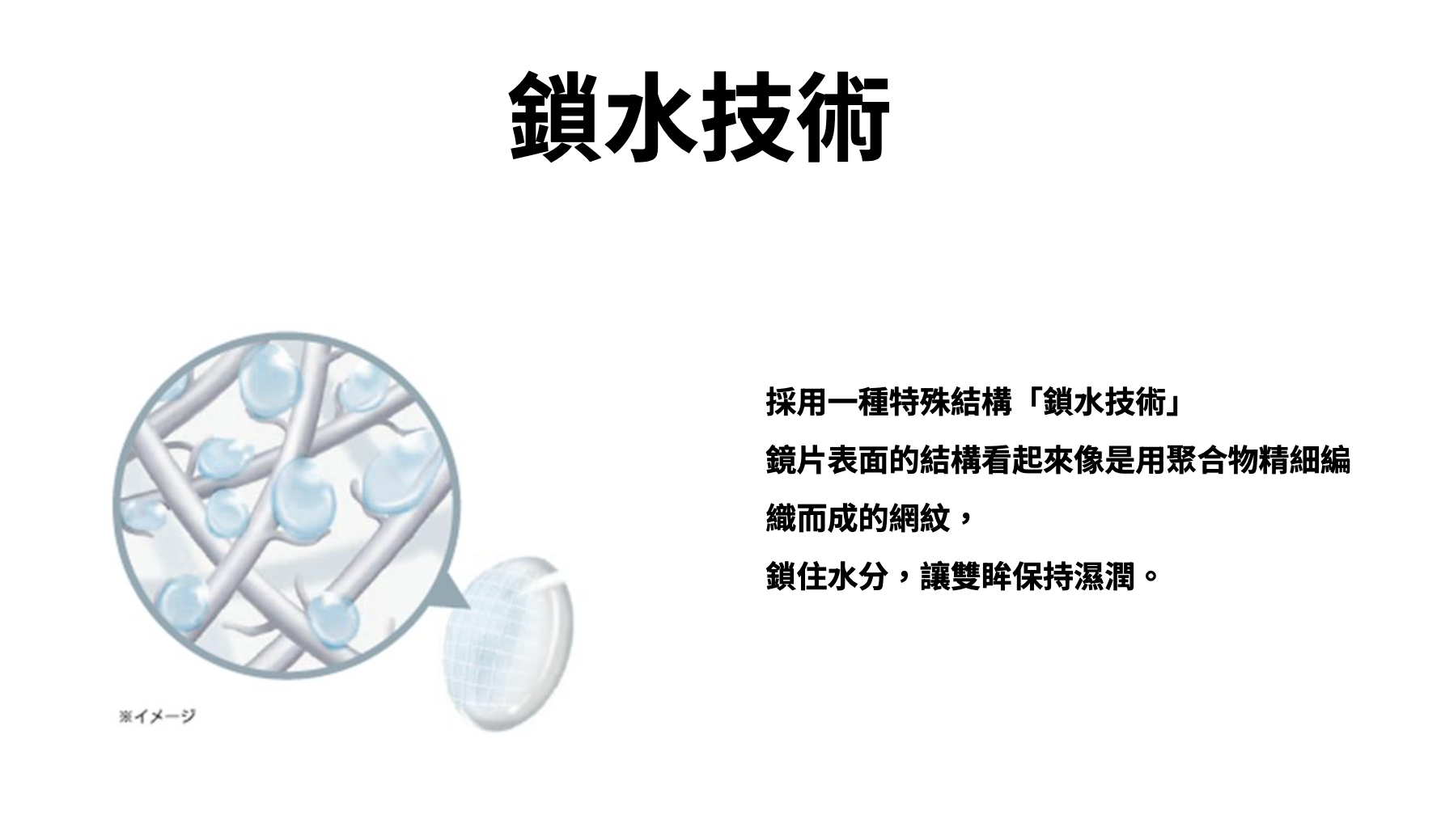 SEED AirGrade 1day UV W-Moisture 近視用 (30片) - LENSLOGIC