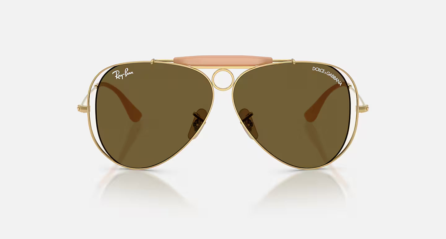 THE SHOOTER BY DOLCE&GABBANA-DARK BROWN